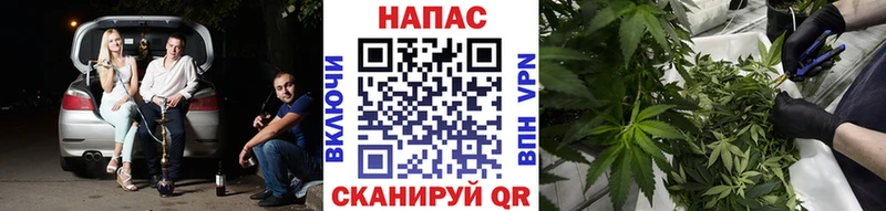 Шишки марихуана план  MEGA сайт  сайты даркнета официальный сайт  где продают наркотики  Южа 